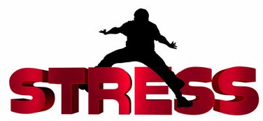 开云体育登录网站入口-冠军光环背后的心理压力你了解吗，冠军光环属性